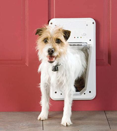 rf id dog door|best collar activated dog door.